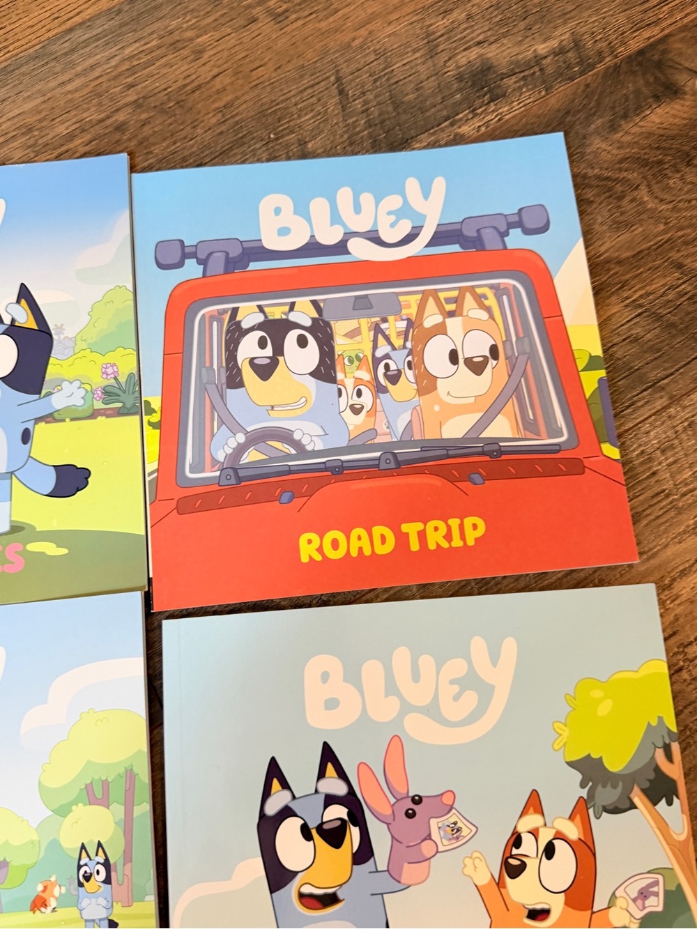 Bluey Books - Picture 4 of 6